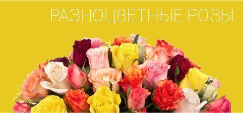 Букет разноцветных роз